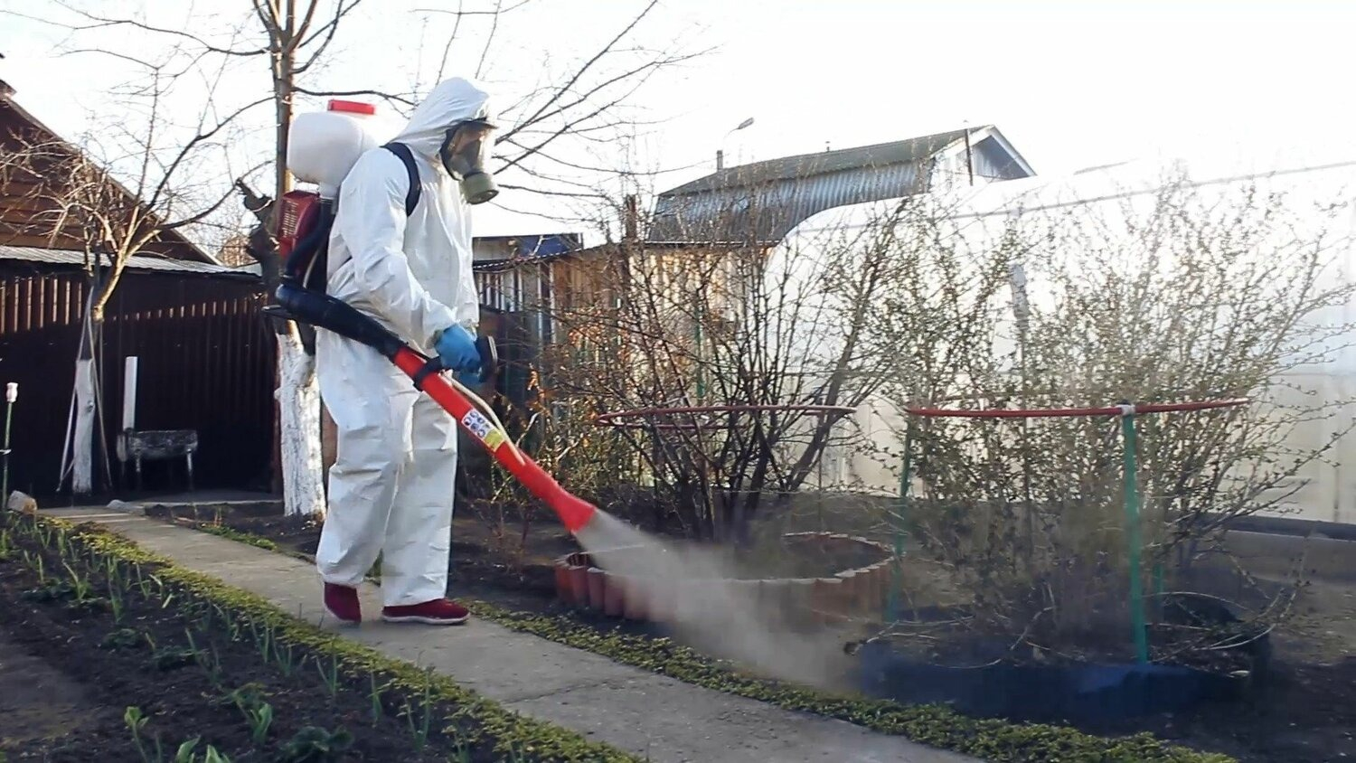 ФОТО Уничтожение муравьёв в Никольском