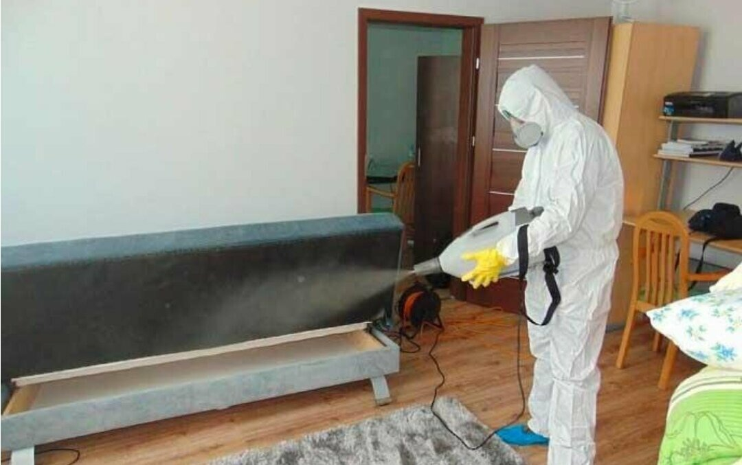 ФОТО Уничтожение блох в Никольском