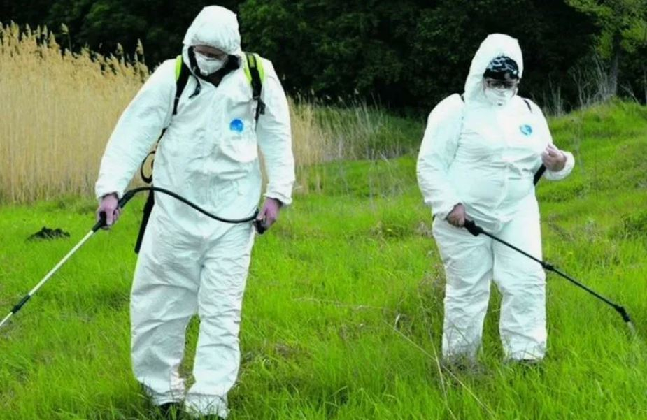 ФОТО Обработка от клещей в Никольском