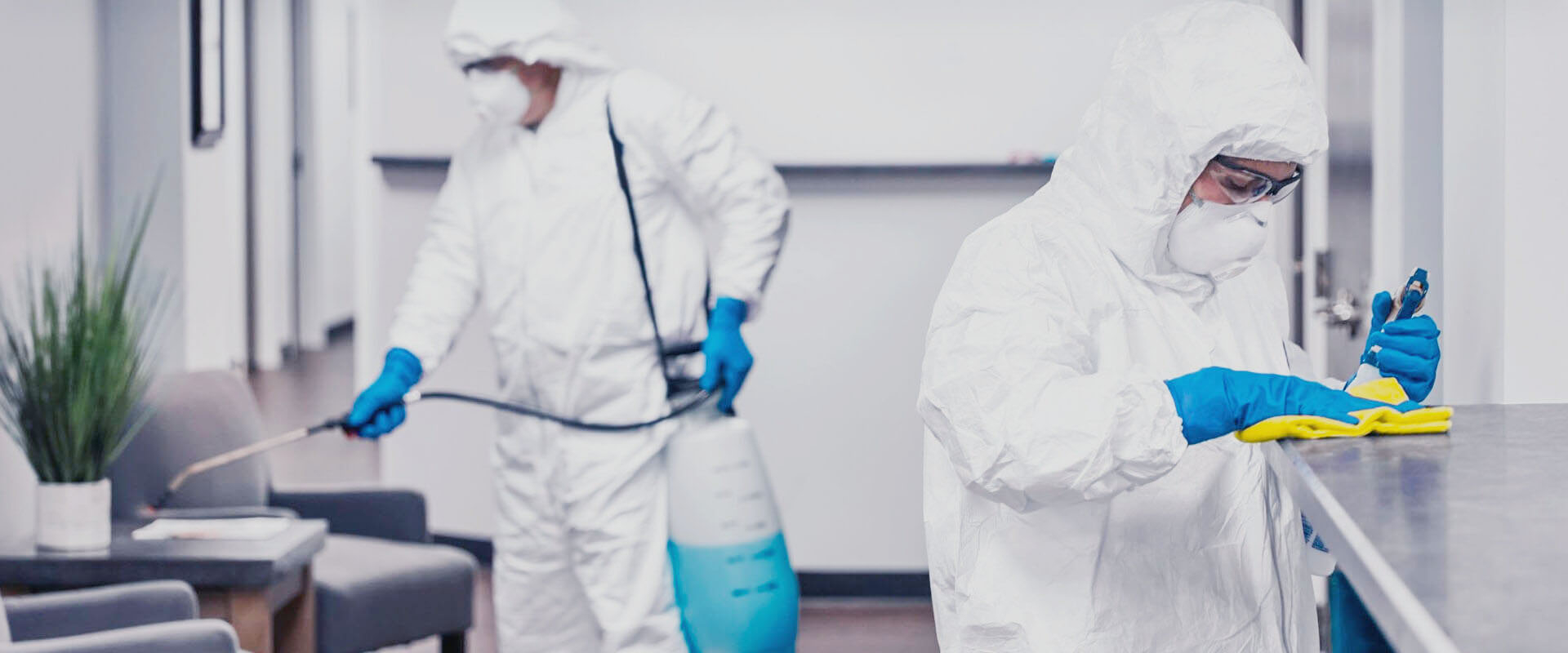 ФОТО В чем разница между дезинфекцией и дезинсекцией в Никольском? | подробно