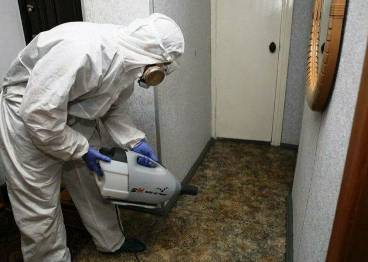 ФОТО Какие методы обработки для дезинсекции существуют в Никольском? | подробно