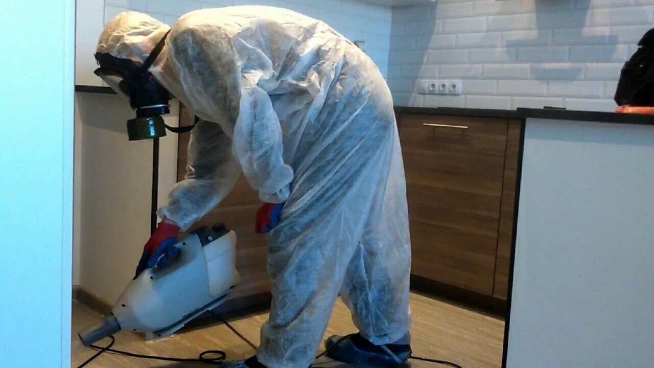 ФОТО Как подготовить домашних животных к обработке от насекомых в Никольском? | подробно