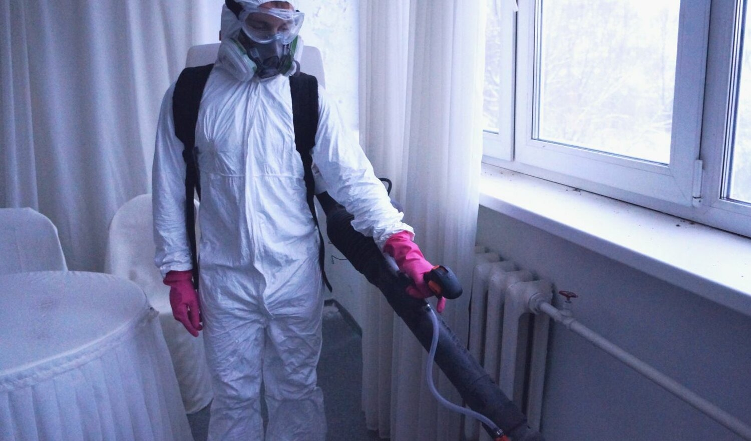 ФОТО Нужно ли выносить растения при дезинсекции в Никольском? | подробно