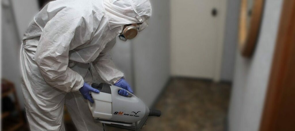 ФОТО Остаются ли следы после обработки квартиры от насекомых в Никольском? | подробно