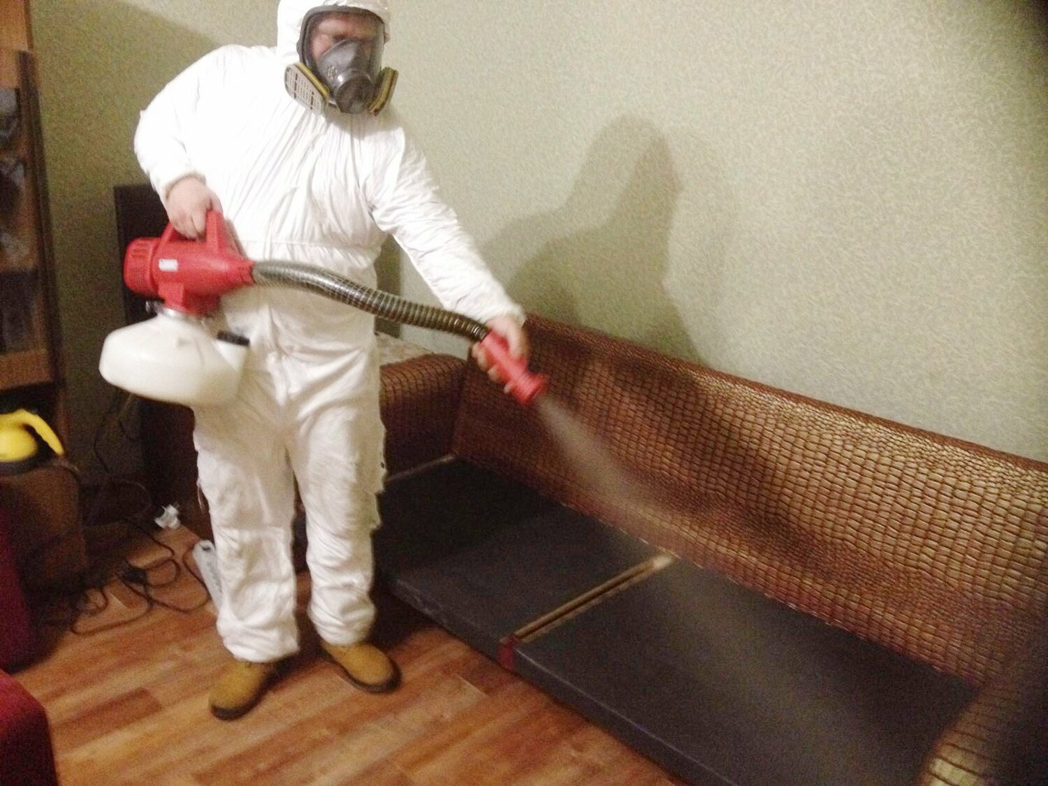 ФОТО Когда можно вернуться в помещение после дезинсекции в Никольском? | подробно