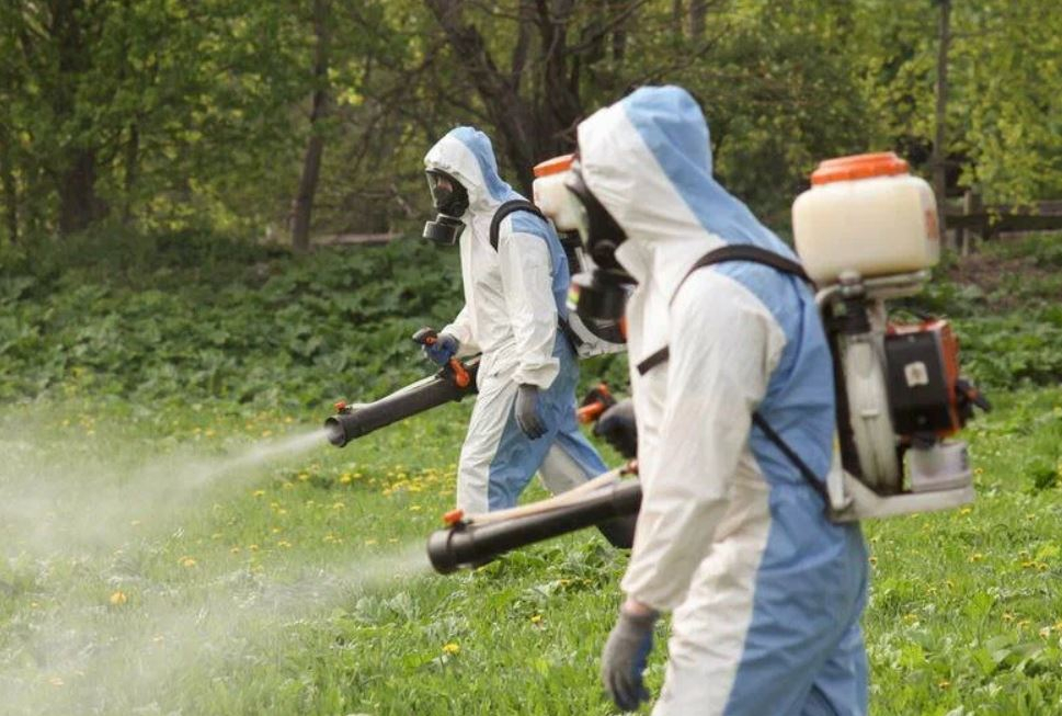 фото: Профессиональное уничтожение мух в Никольском: <br/>+7-909-173-42-96